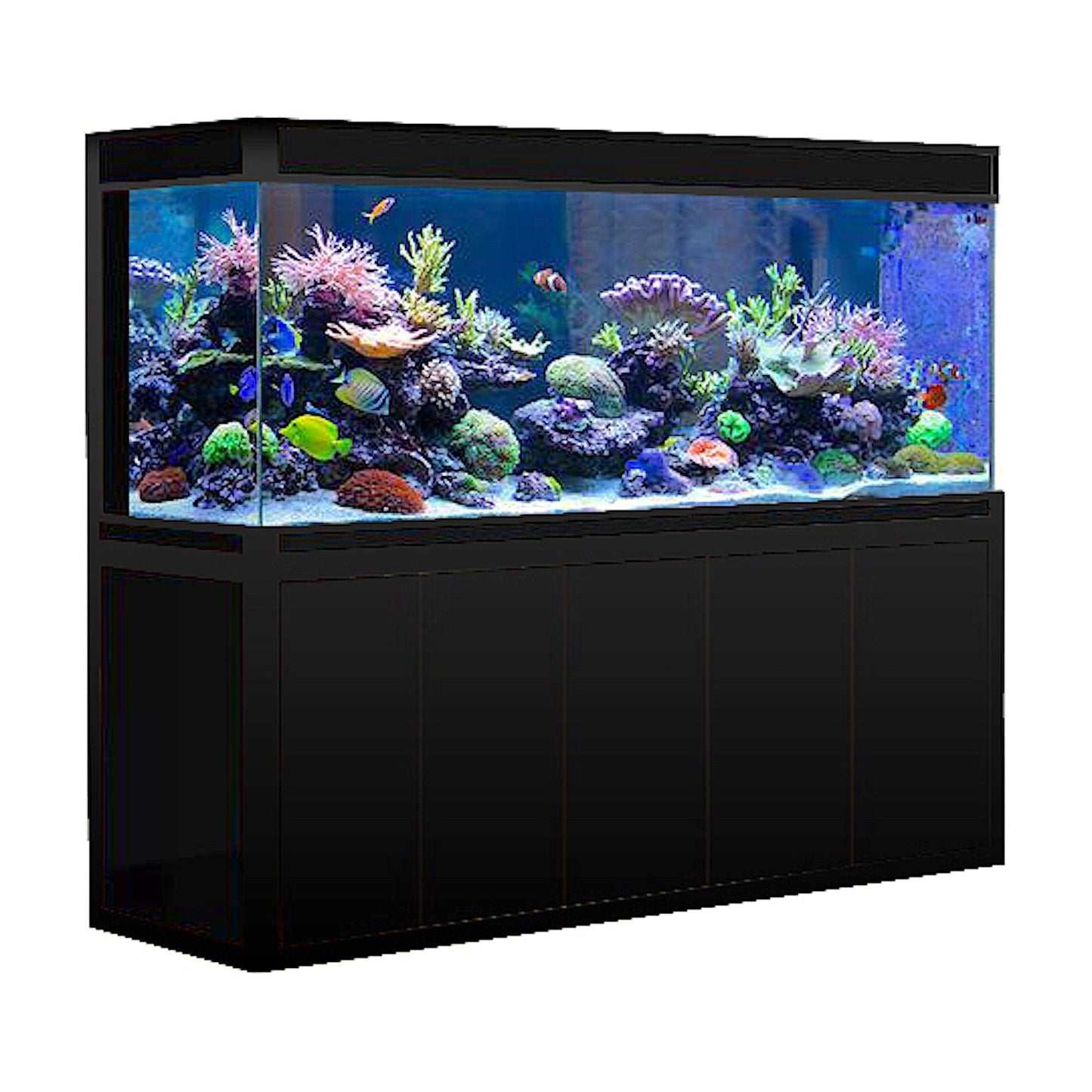 Aqua Dream 260 Gallon Aquarium Black Premium - AD-1980-BP