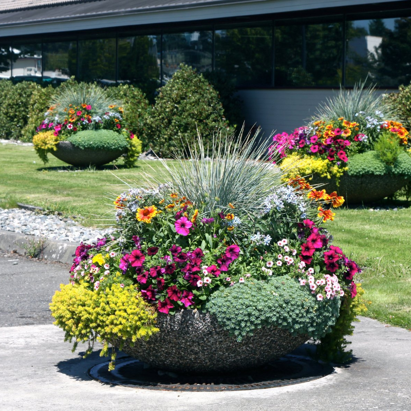 Planters