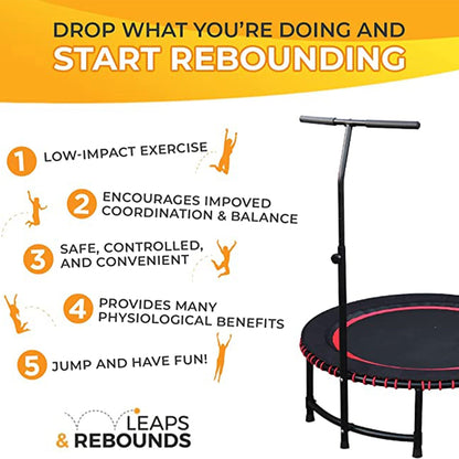 LEAPS & REBOUNDS 48" Adjustable Stability Bar w/ 48" Fitness Trampoline, Purple - 318054