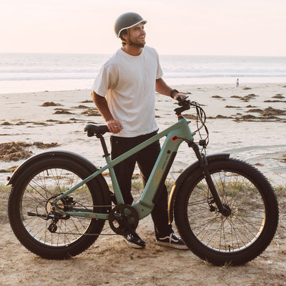 Retrospec Grateful Dead Koa Rev+ 2 Fat Tire Electric Bike - 6479