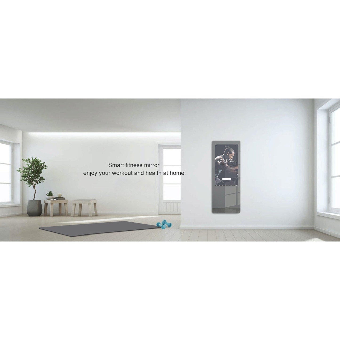 Aquadom Energy 24" X 71" Smart Fitness Mirror - NRG-2471