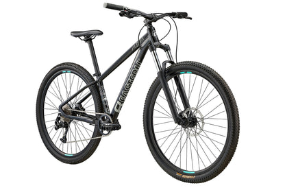 Eastern Alpaka 29 MTB Hardtail Bike - Black