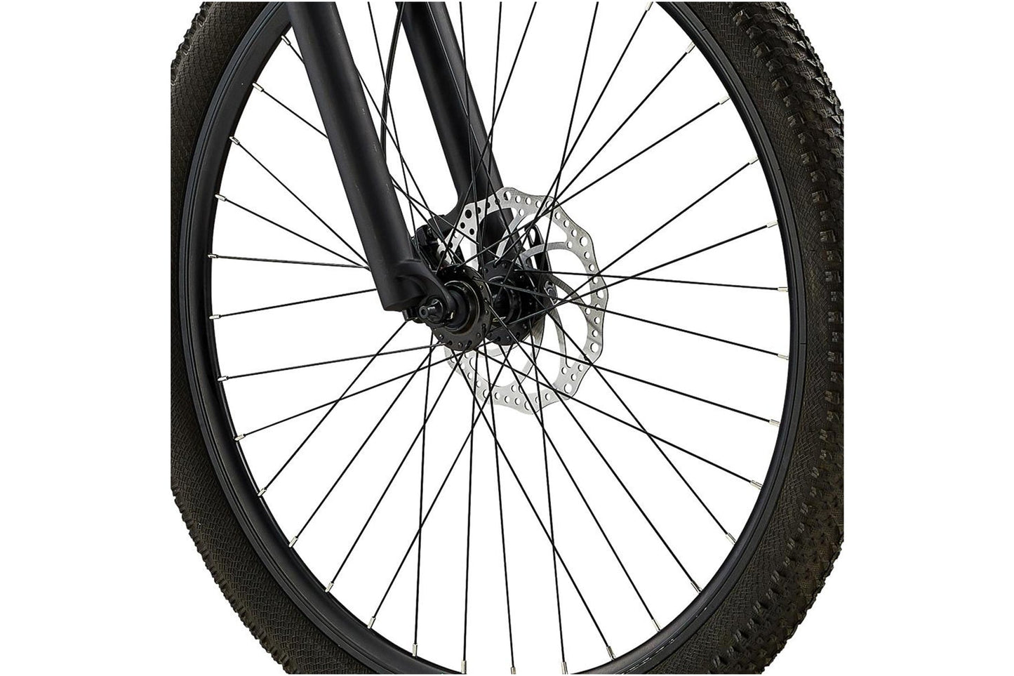 Eastern Alpaka 29 MTB Hardtail Bike - Black