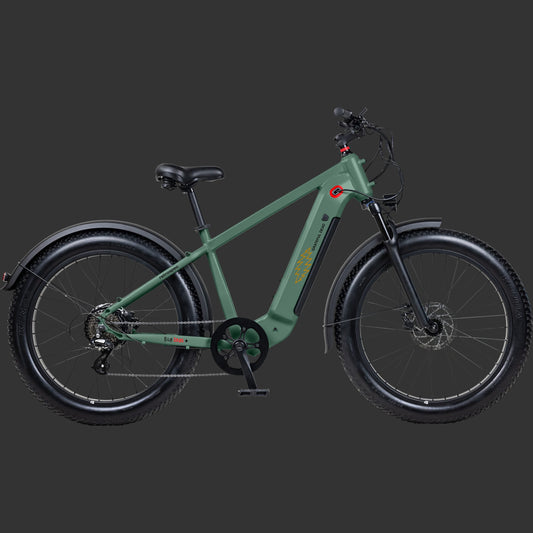 Retrospec Grateful Dead Koa Rev+ 2 Fat Tire Electric Bike - 6479