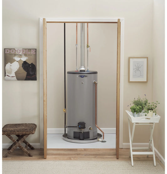 GE Appliances  RealMAX Premium 40-Gallon Short Liquid Propane Atmospheric Water Heater Gray - GP40S10BXR