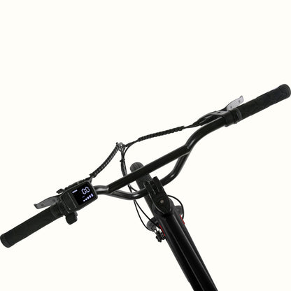 Retrospec Joe Rev 2 BMX Electric Bike - 6731