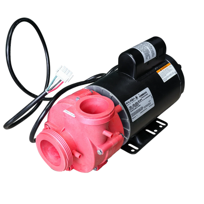 Canadian Spa Balboa 5HP Pump 2SP 240V 2.5in/2in - KK-10061
