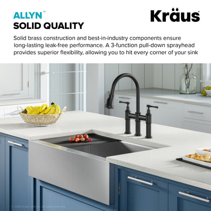 KRAUS Allyn Transitional Bridge Kitchen Faucet & Water Filter Faucet in Matte Black