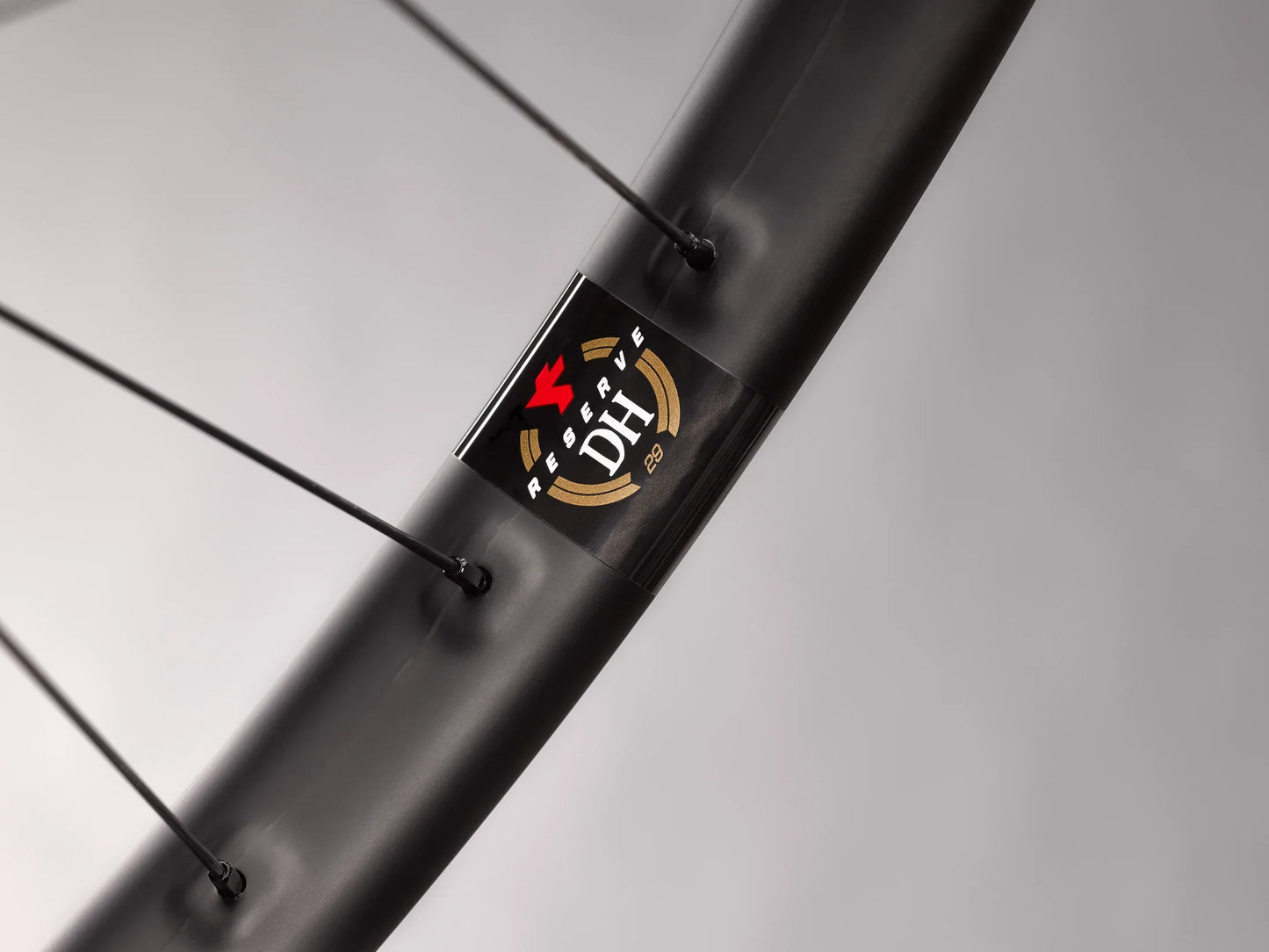 Reserve Wheels Reserve 31 DH/DT350 29" Carbon MTB Wheelset