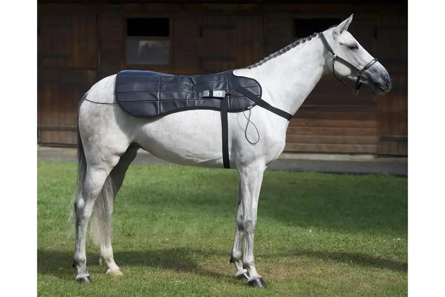 Dynamic OMI PEMF Horse Blanket - PEMF-H1
