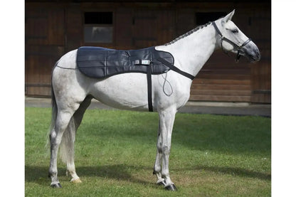 Dynamic OMI PEMF Horse Blanket - PEMF-H1