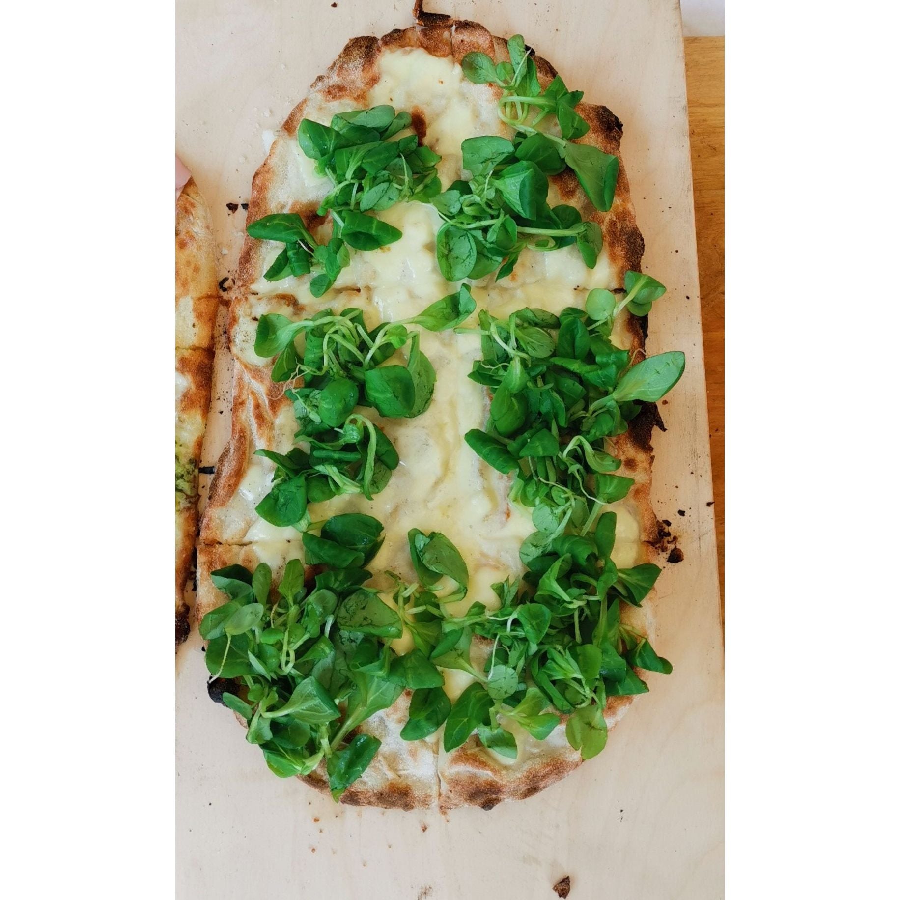 Clementino Wood-Burning Pizza Oven - Cooked Pizza