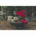 SeasonsFirePitsEllipticalSteelFirePitwithdecor-min