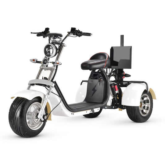 T7.3 Electric Fat Tire Golf Trike SoverSky