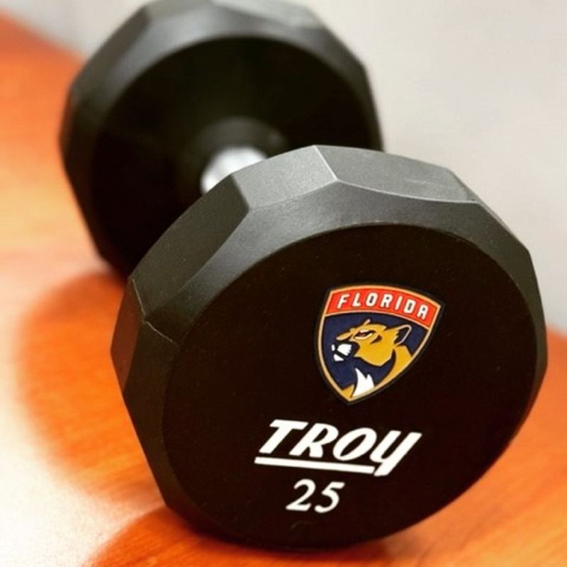 TROY TSD-U 12-Sided Urethane Encased Dumbbell
