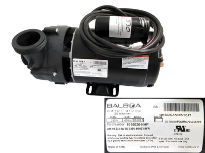 MASTER SPAS Pump, 10.8 Amp 2 Spd 120v