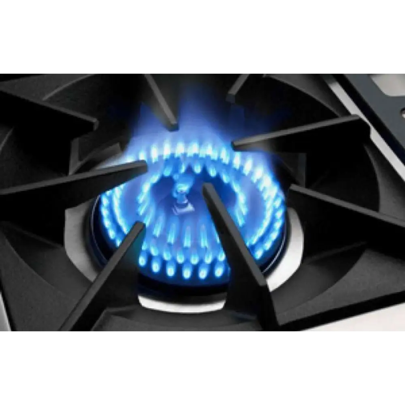 Capital 48" Connoisseurian Dual Fuel Range, 8 Open Burners- COB488N