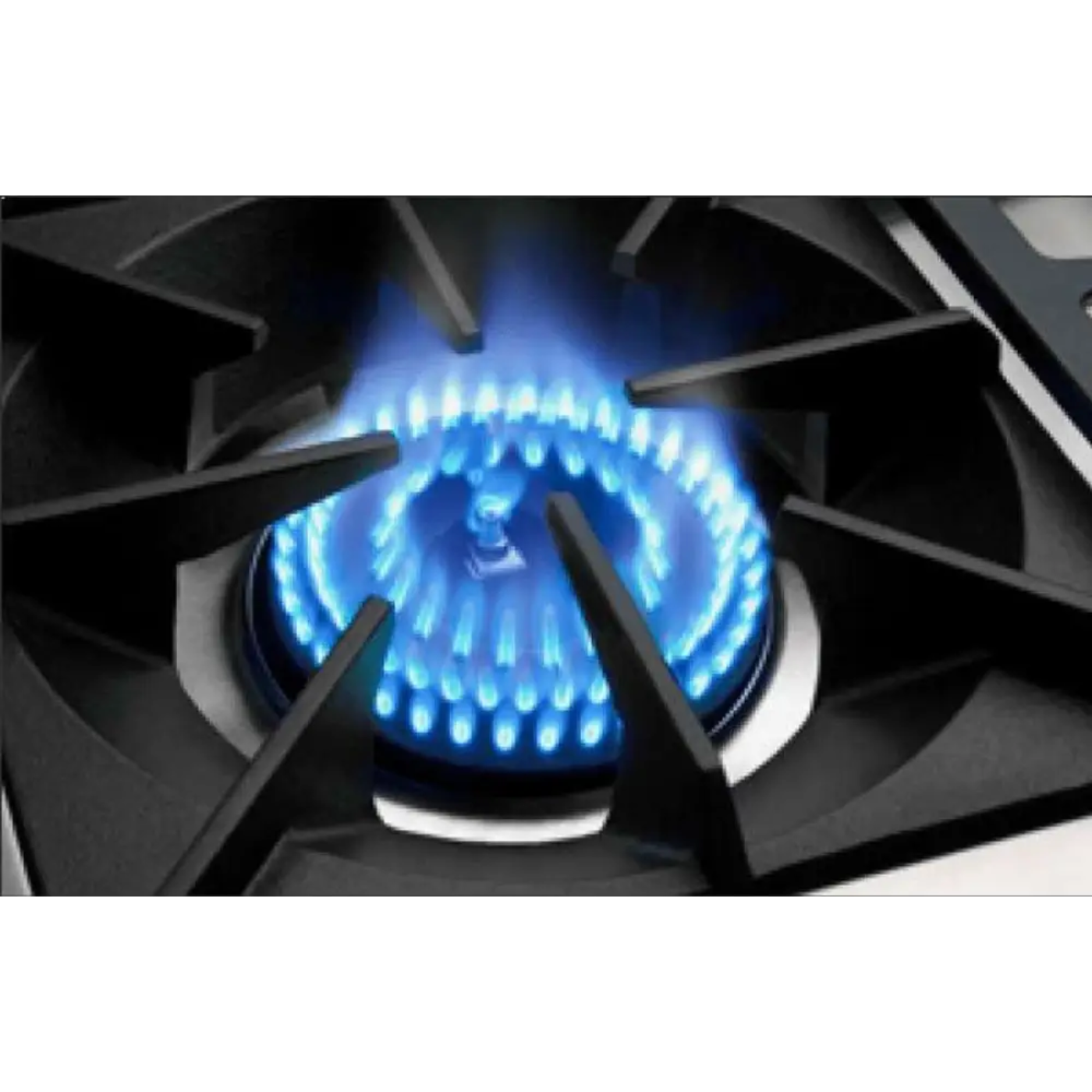 Capital 60" Precision Self Clean Gas Range, 4 Sealed Burners, BBQ, Griddle - GSCR604BGN
