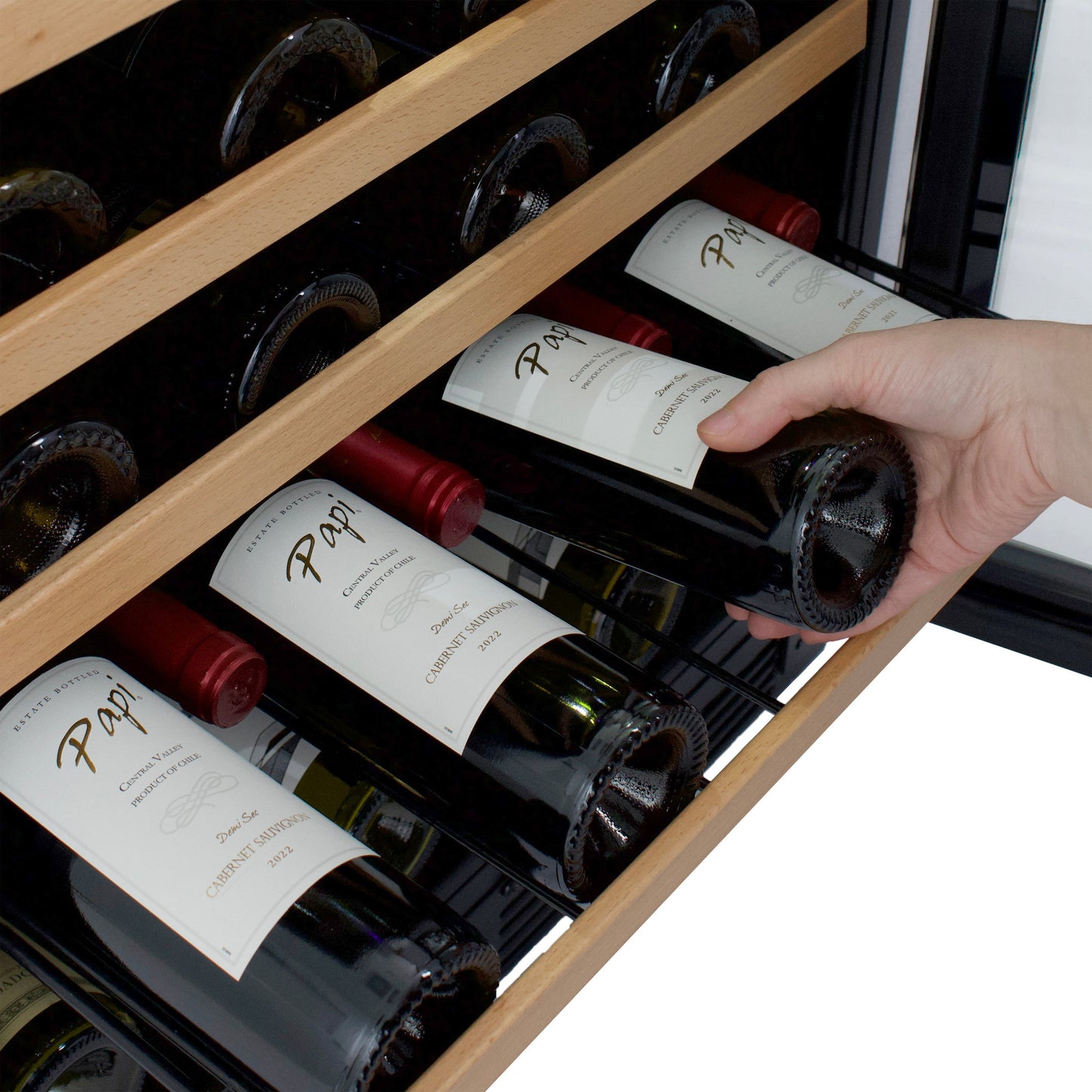Avanti 51 Bottle Wine Cooler - WCB52T3S