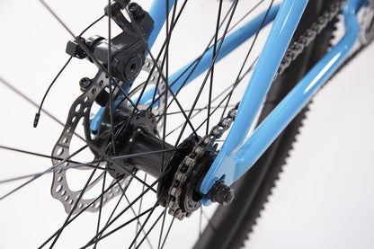 Eastern Growler 29" BMX Cruiser - Blue