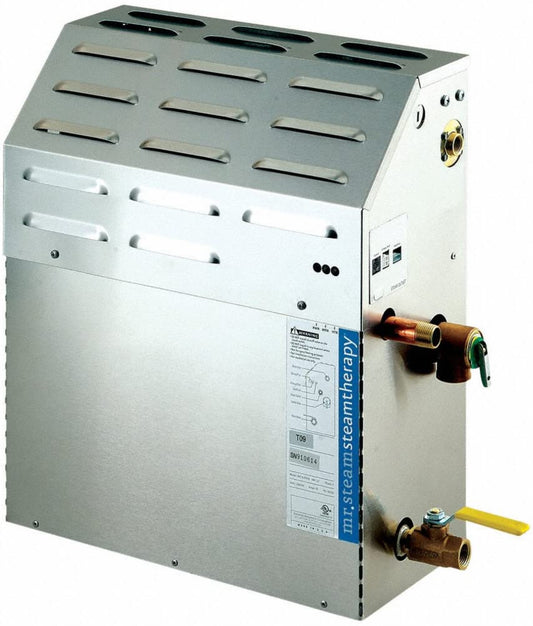 Mr. Steam eSeries 15kW Express Steam Bath Generator at 240V With Express Steam - MSSUPER3EC1X