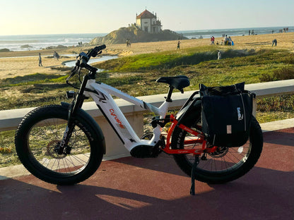 Cyrusher Ranger 1.0 Full-Suspension All-Terrain E-Bike - US-RNGR-GR