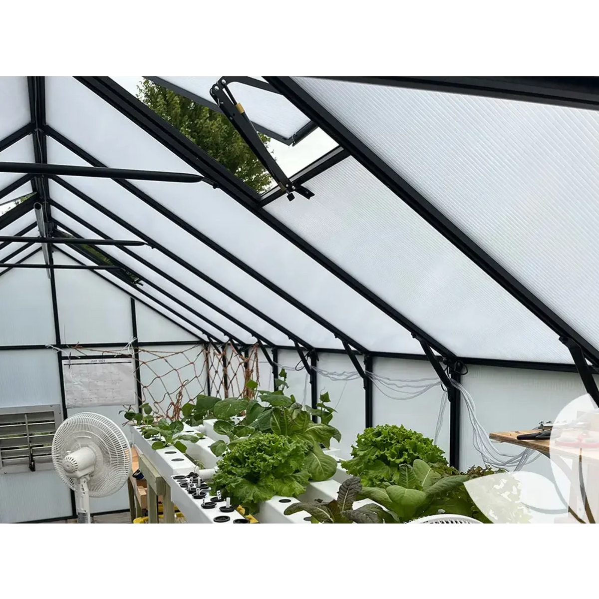 GREE Riverstone Industries MONT Greenhouse Growers - MONT-8-BK-GROWERS