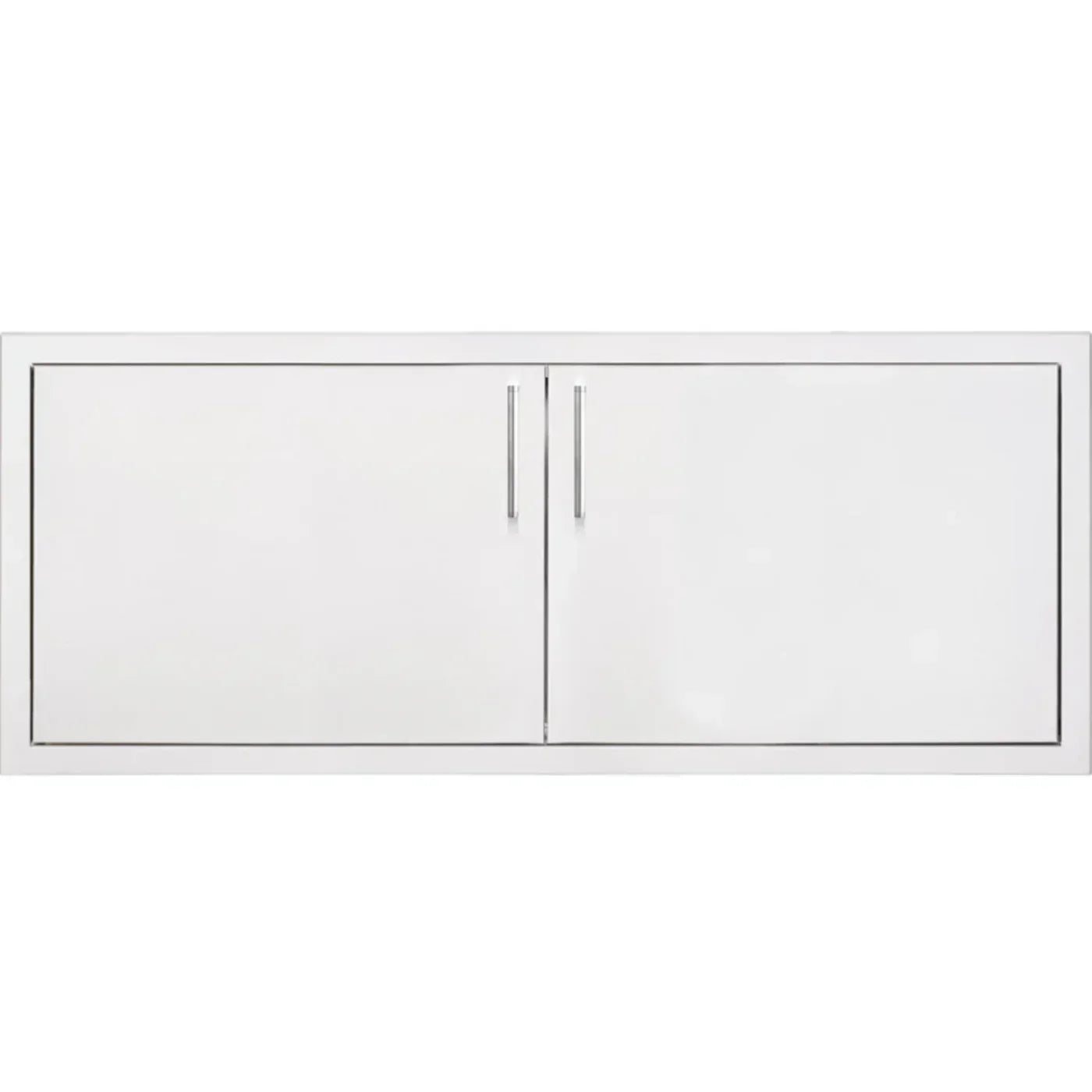 TrueFlame 39 Double Access Door- TF-DD-39-A