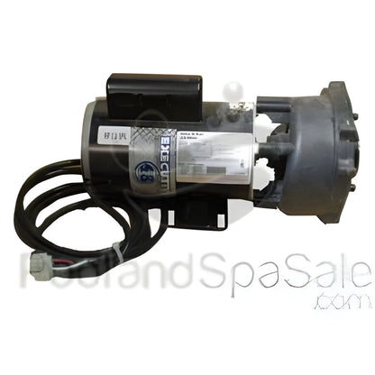 MASTER SPAS Pump, 4.5 horsepower 2 Speed 48 Frame Value 230v - X320520