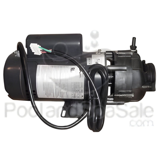 MASTER SPAS 4 horsepower, 2 speed Sta-Rite / Pentair Pump -  X321160