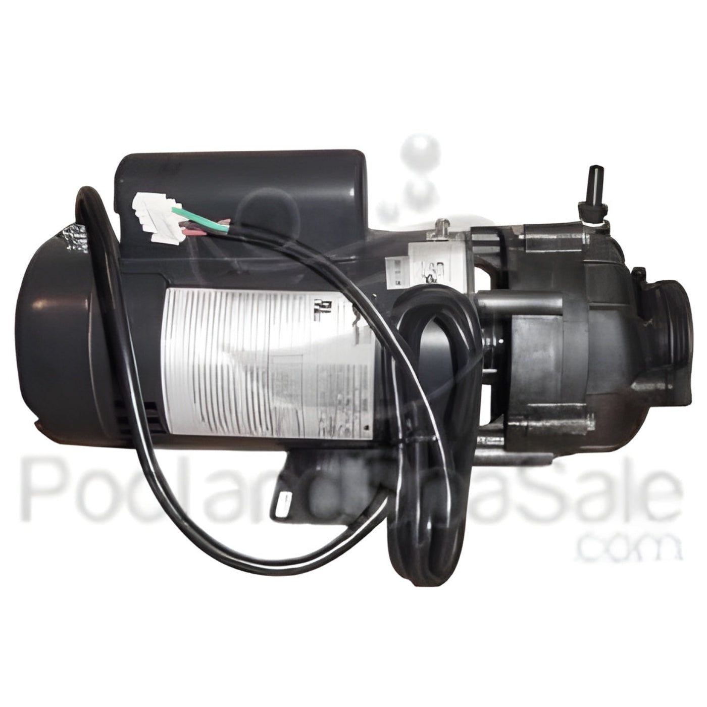 MASTER SPAS 4 horsepower, 2 speed Sta-Rite / Pentair Pump -  X321160