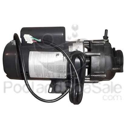 MASTER SPAS 4 horsepower, 2 speed Sta-Rite / Pentair Pump -  X321160