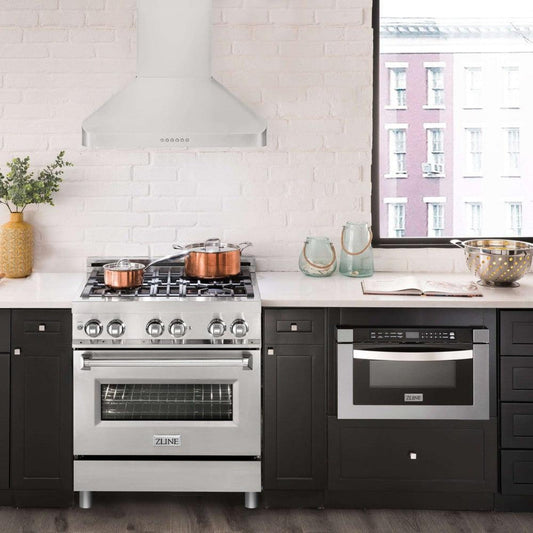 Alpine ZLINE  Series Ducted Wall Mount Range Hood in Stainless Steel  - ALP100WL