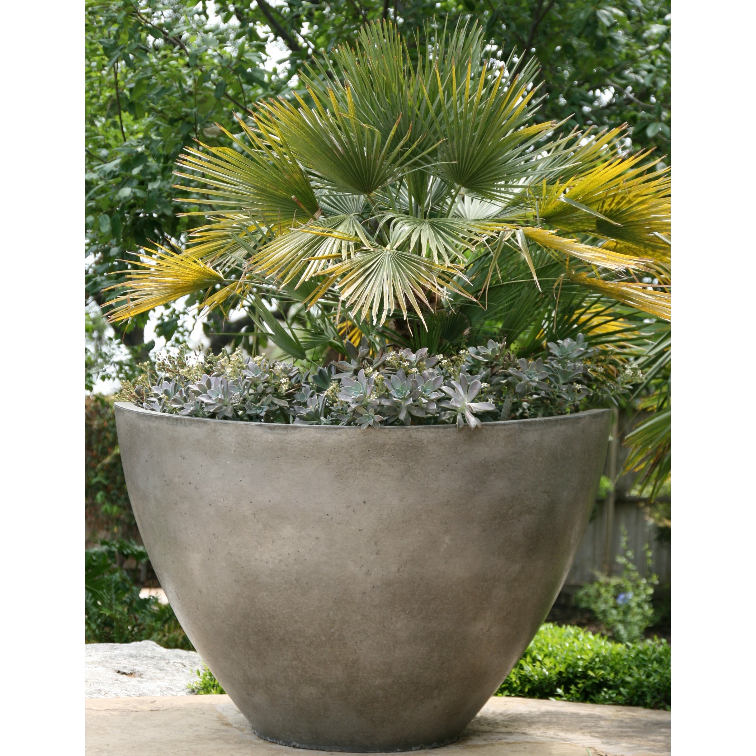 Wave Large with Plant