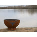 Long Horn at the  Lake - no fire