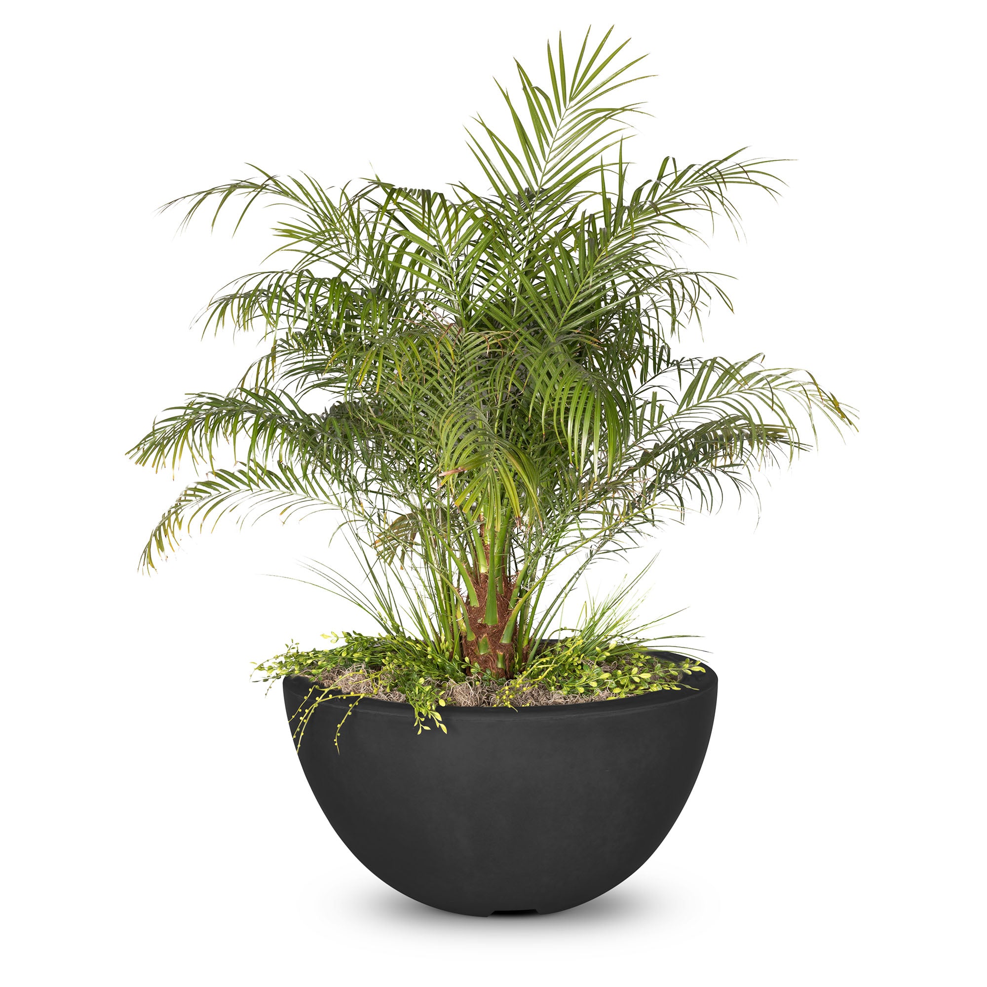 Luna Planter Bowl Black