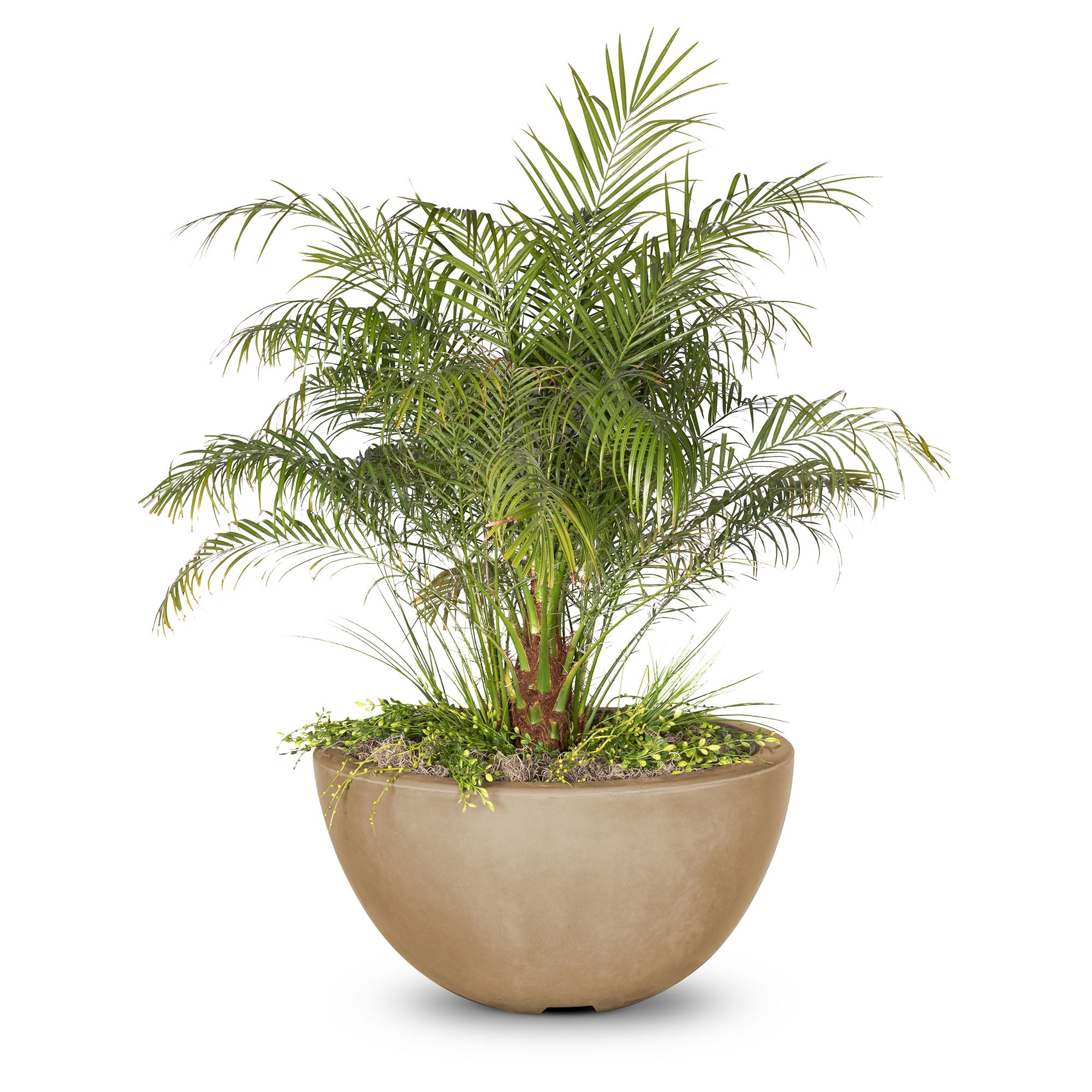 Luna Planter Bowl Brown