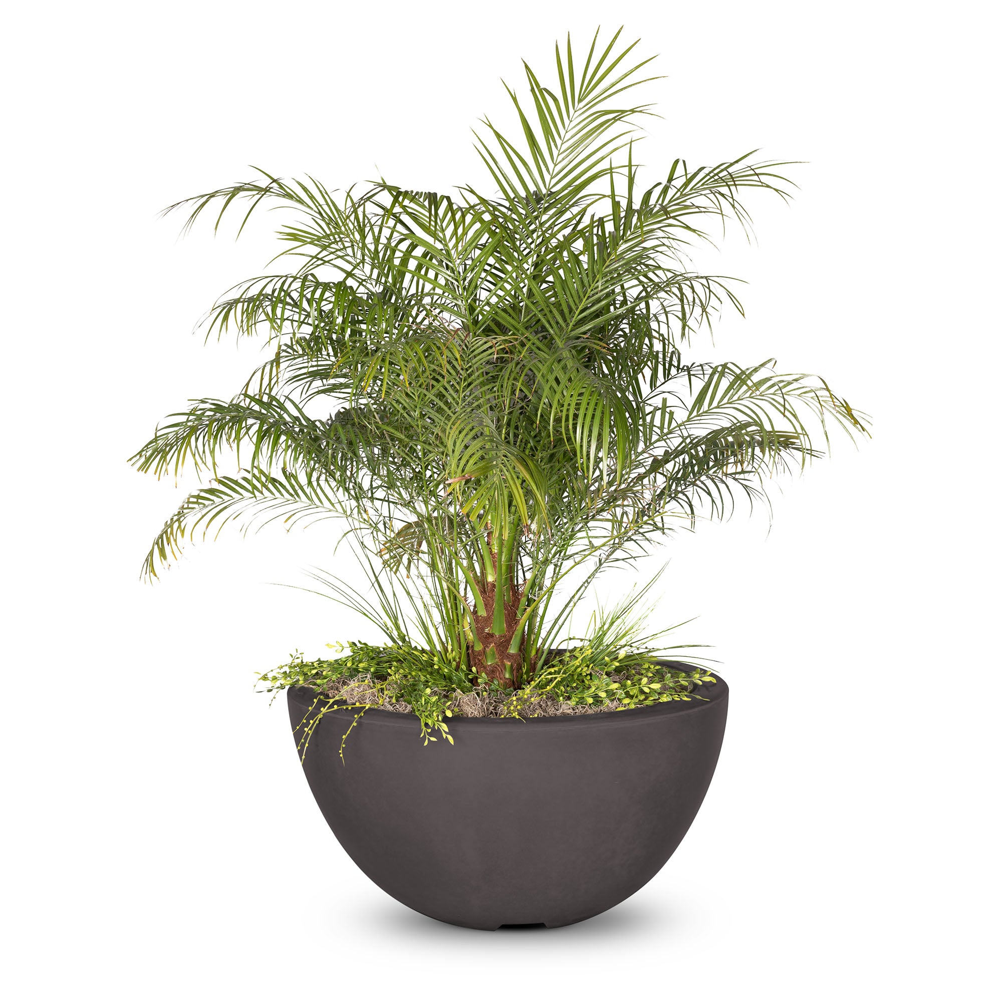 Luna Planter Bowl Chestnut