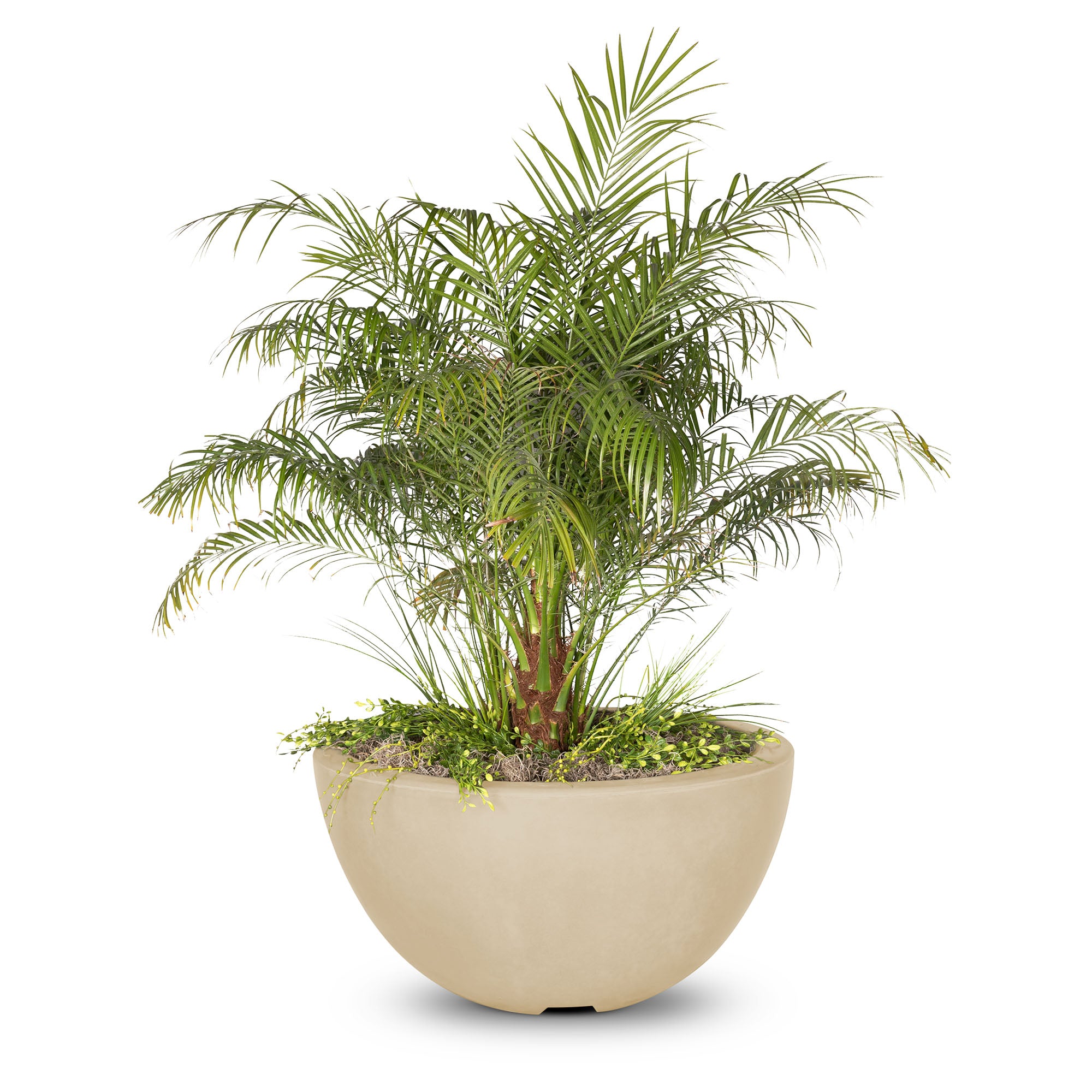 Luna Planter Bowl Vanilla