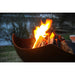 Manta Ray close-up - with fire