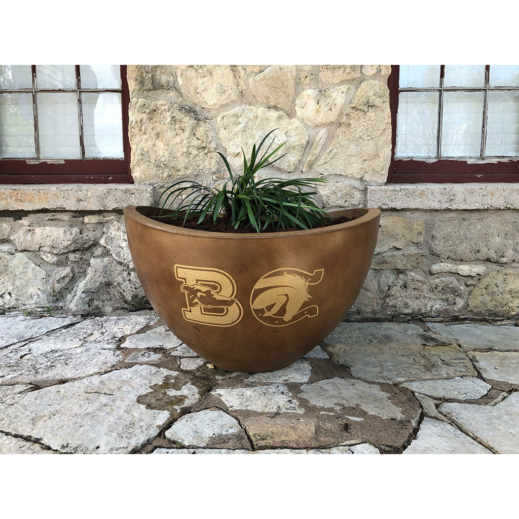 Wave Medium with Plant