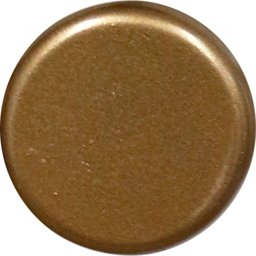 Bronze Swatch