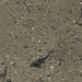 Rustic Moss Stone Texture
