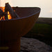 Scallop or Tidal close-up - with fire