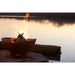 Scallop or Tidal - with fire