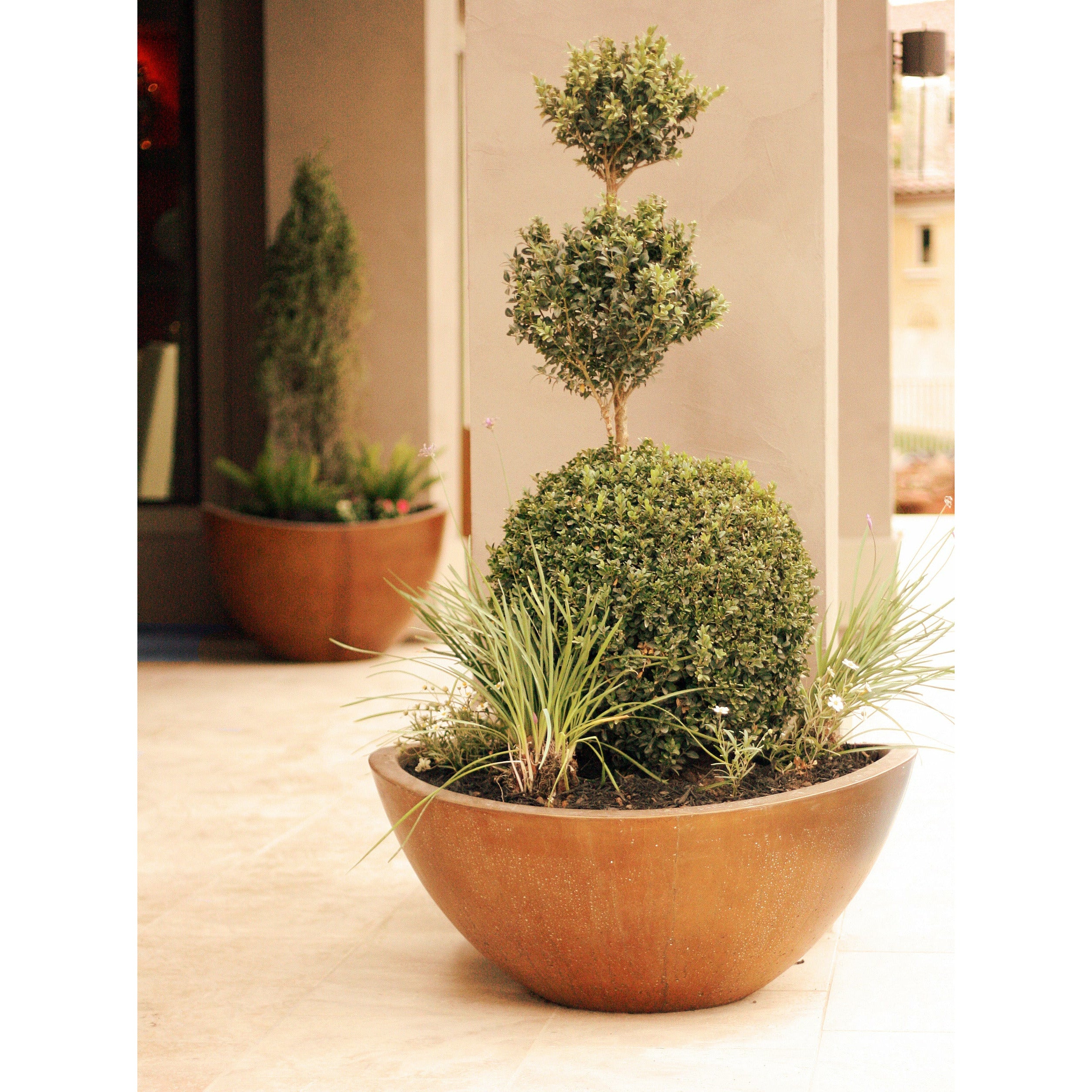 Wave Small with Plant