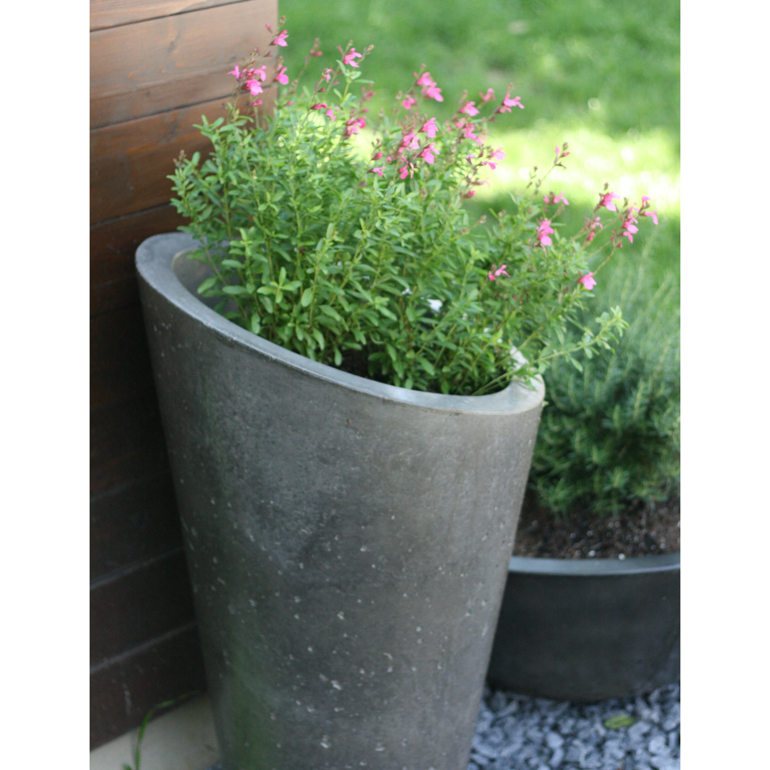 Slick Rock Bouquet Planter